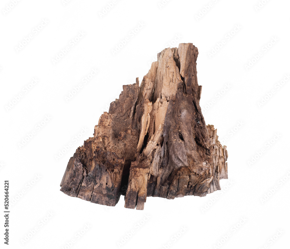 Wall mural brown rotten piece of wood isolated on white background