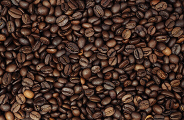 Roasted coffee beans