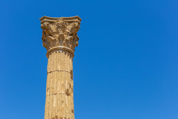 2000 year old Roman column - 520666037