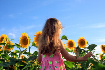 little girl in a field of sunflowers