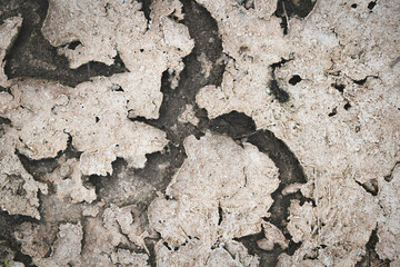 Dried desert land. Cracks in the ground. Dehydrated soil.