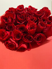 Bouquet of red roses on a white and red background
