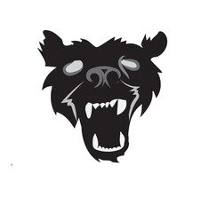 Dead bear