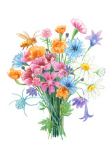 Hand drawn summer flower bouquet illustration.  For postcard, poster, sketchbook cover, print, your design.