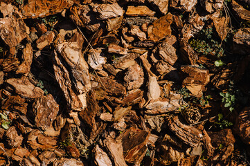 Background, texture of a pile of brown peeled bark. Photography of nature.