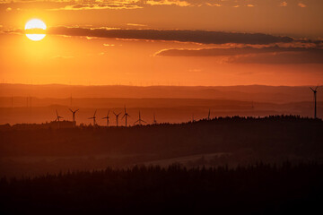 Fototapeta premium Windräder in der untergehenden Sonne