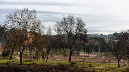 Parque Regional del Curso Medio del río Guadarrama en Galapagar, Comunidad de Madrid, España	