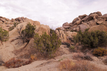 Rock complexes in southeastern California. 	Riverside County and San Bernardino County, California, USA. 