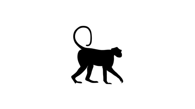 Walking monkey, animation on the white background (seamless loop)