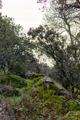 Parque Regional del Curso Medio del río Guadarrama en Galapagar, Comunidad de Madrid, España