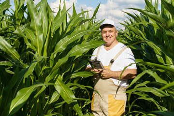 A farmer inspects a field with growing corn, writes data to a tablet.