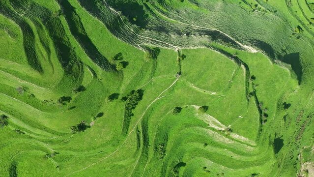 Bird eye view of scenic green terraces. Terraces of Dagestan mountains near Chokh village. Aerial drone view