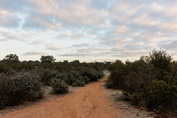Plantas y vistas del Parque Regional del Curso Medio del r&iacute;o Guadarrama en la Comunidad de Madrid, Espa&ntilde;a