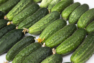 Plucked ripe cucumbers, background. Green healthy vegetables
