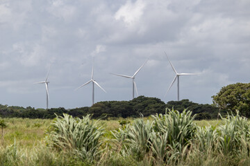 Parque eólico Penonomé