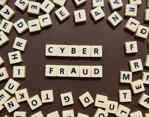 Cyber fraud, 