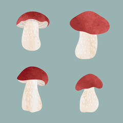 Boletus mushroom set. Vector watercolor porcini illustration.