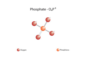 Molecular formula and chemical structure of phosphate
