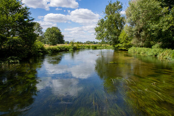 Fototapeta na wymiar River Test in Hampshire, close to the village of Romsey