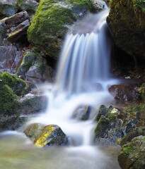 夏の渓谷の景色