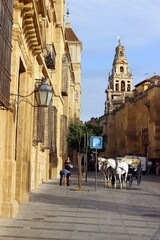 Naklejka na ściany i meble Cordoba, Andalusia, Spain.