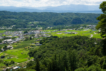 Fototapeta na wymiar 夏の里山の風景
