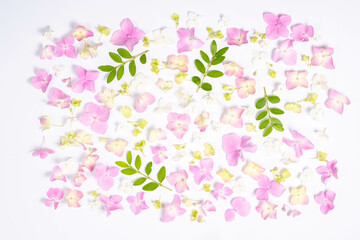 Floral background of small hydrangea flowers and boxwood twigs. Top view, flat lay.