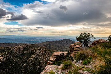 Fototapeta na wymiar Mt Lemmon, Tucson Arizona