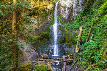 Merrymere Falls Trail in Olympic National Park