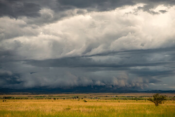 Fototapeta premium Monsoons is Southern Arizona