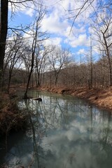 Reflections on the Water