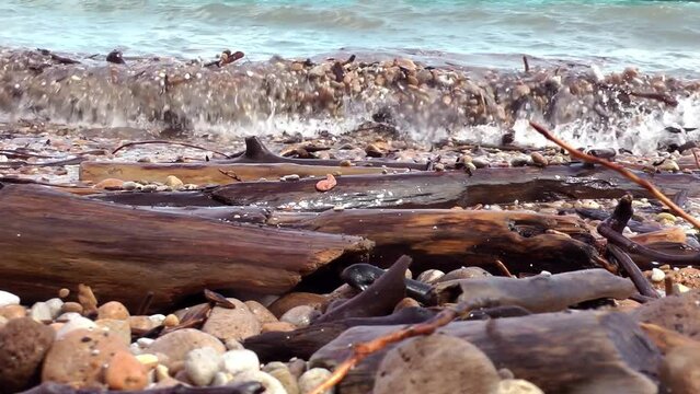 Waves hit the shore with debris rocks and woods, medium shot
Pumice stones with wood debris at North America beach, Alaska, 2022
