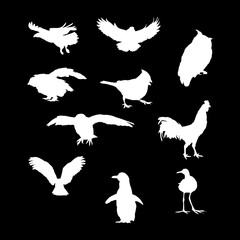 aves hand drawing vector illustration isolated on black background