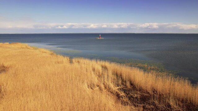 Aerial Flying Over Golden Coastline Tall Grass In Pervalka, Curonian Spit, Lithuania. Dolly Forward 