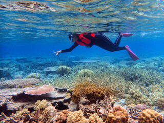 Indonesia Anambas Islands - Women snorkeling in coral reef - obrazy, fototapety, plakaty