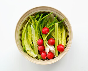 Salad ingredients in spinner