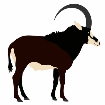 Male Sable Antelope Vector Cartoon Illustration