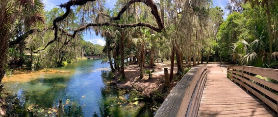 Trail leading over bridge over the river at Gemini Springs State Park just north of Orlando in...