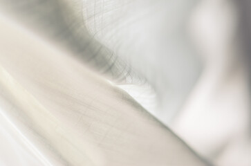 Linen blows in the Breeze - Abstract Image of White Cloth in Soft Sunlight
