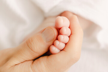 father hand holding baby`s toe