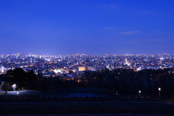 旭山記念公園から見た札幌の夜景