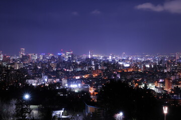 Obraz na płótnie Canvas 旭山記念公園から見た札幌の夜景