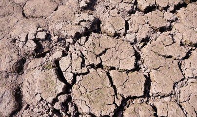 Dried cracked earth soil ground texture background, the pattern of drought lack of water of nature old broken.