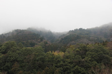 濃霧が立ち込める山の風景