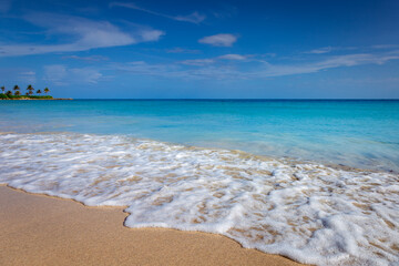 Tropical paradise: caribbean beach with palm trees, Montego Bay, Jamaica