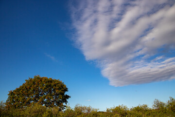 青い空と白い雲
