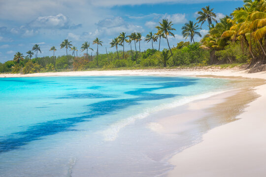 Tropical paradise: idyllic caribbean beach with palm trees, Punta Cana, Saona © Aide