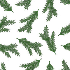 Naklejka na ściany i meble seamless pattern of green fir leaves