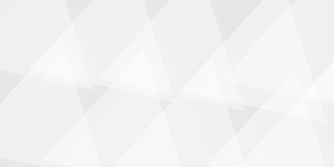 Abstract background with gray background with texture, white abstract modern background. Geometry shine and layer element vector for presentation design. Decorative web layout or poster, banner.design