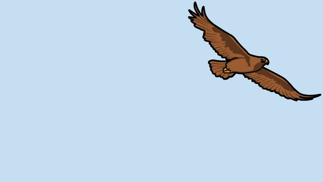 hawk flying and 2d animated